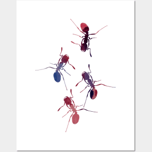 Ants Posters and Art